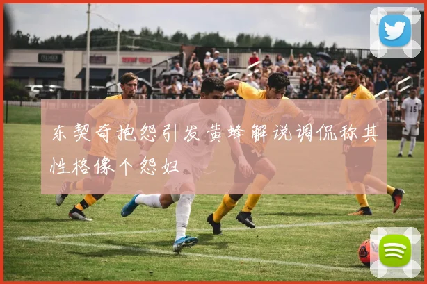 东契奇抱怨引发黄蜂解说调侃称其性格像个怨妇