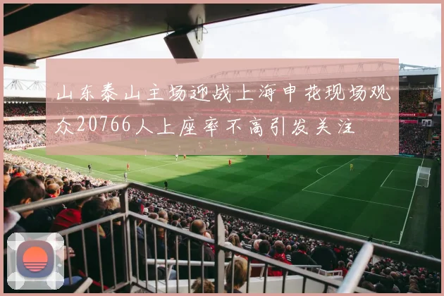 山东泰山主场迎战上海申花现场观众20766人上座率不高引发关注
